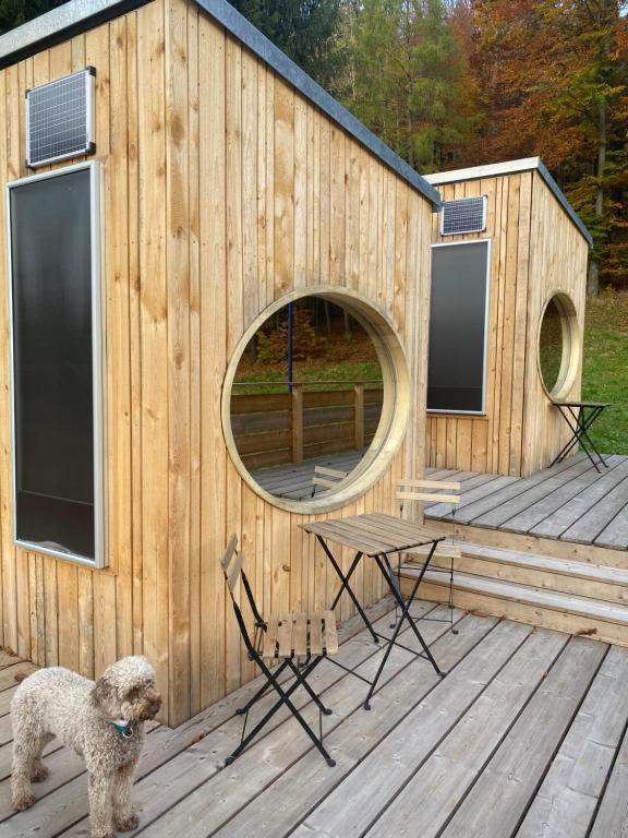 Zinipi Retreat Gelenau "Eule" Villa Exteriör bild